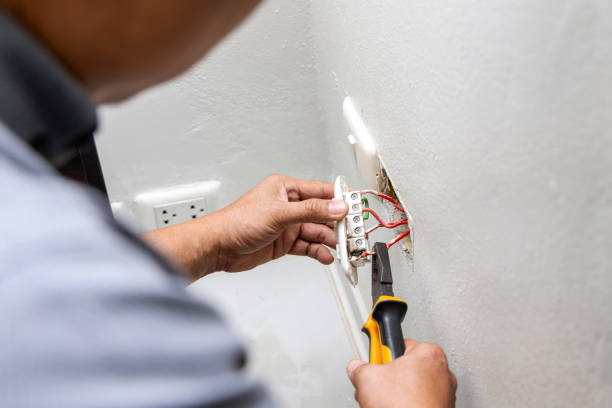 Best Electric Panel Repair  in Horton, KS